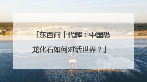 东西问丨代辉：中国恐龙化石如何对话世界？