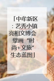 中牟新区：艺秀小镇亮相文博会 擘画“时尚+文旅”生态蓝图
