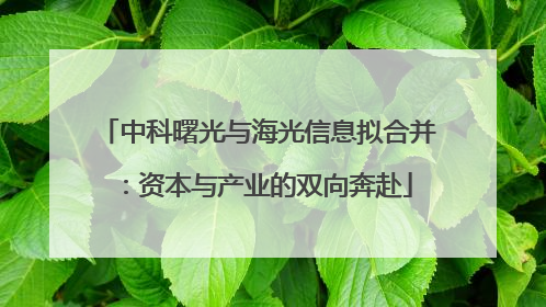 中科曙光与海光信息拟合并：资本与产业的双向奔赴