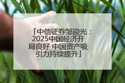 中信证券邹迎光：2025中国经济开局良好 中国资产吸引力持续提升