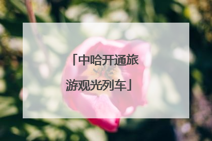 中哈开通旅游观光列车