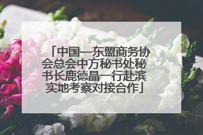 中国—东盟商务协会总会中方秘书处秘书长鹿德晶一行赴滨实地考察对接合作