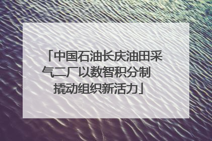 中国石油长庆油田采气二厂以数智积分制 撬动组织新活力