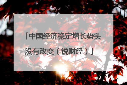 中国经济稳定增长势头没有改变（锐财经）