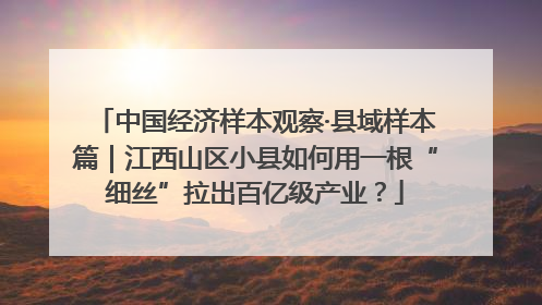 中国经济样本观察·县域样本篇｜江西山区小县如何用一根“细丝”拉出百亿级产业？