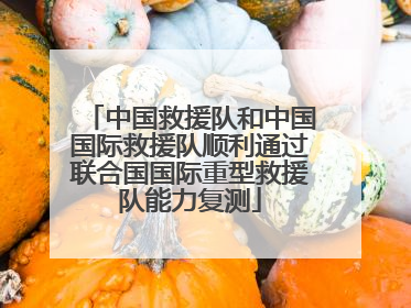 中国救援队和中国国际救援队顺利通过联合国国际重型救援队能力复测