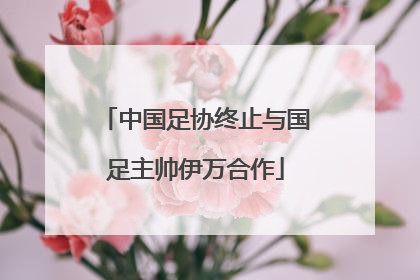 中国足协终止与国足主帅伊万合作