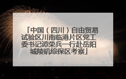 中国（四川）自由贸易试验区川南临港片区党工委书记谭荣兵一行赴岳阳城陵矶综保区考察