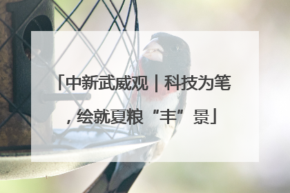 中新武威观｜科技为笔，绘就夏粮“丰”景