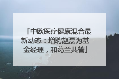 中欧医疗健康混合最新动态：增聘赵磊为基金经理，和葛兰共管