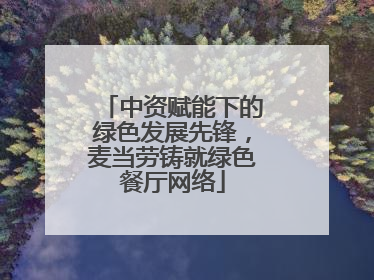 中资赋能下的绿色发展先锋，麦当劳铸就绿色餐厅网络