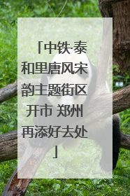 中铁·泰和里唐风宋韵主题街区开市 郑州再添好去处