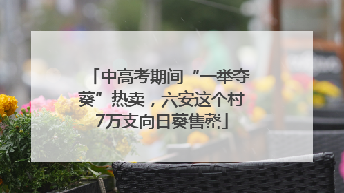 中高考期间“一举夺葵”热卖，六安这个村7万支向日葵售罄