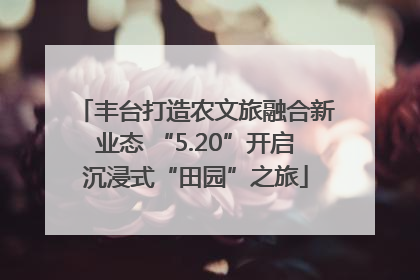 丰台打造农文旅融合新业态 “5.20”开启沉浸式“田园”之旅