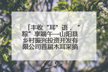 丰收“耳”语，“粽”享端午—山阳县乡村振兴投资开发有限公司首届木耳采摘活动盛大启幕