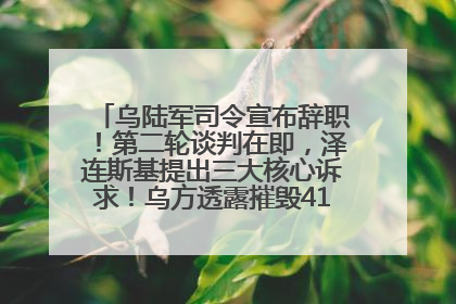 乌陆军司令宣布辞职！第二轮谈判在即，泽连斯基提出三大核心诉求！乌方透露摧毁41架俄战略轰炸机