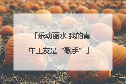 乐动丽水 我的青年工友是“歌手”