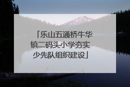 乐山五通桥牛华镇二码头小学夯实少先队组织建设
