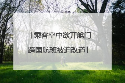 乘客空中欲开舱门 跨国航班被迫改道