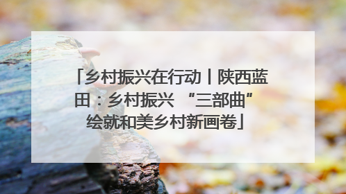 乡村振兴在行动丨陕西蓝田：乡村振兴 “三部曲” 绘就和美乡村新画卷