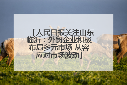人民日报关注山东临沂：外贸企业积极布局多元市场 从容应对市场波动