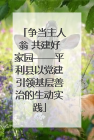 争当主人翁 共建好家园——平利县以党建引领基层善治的生动实践