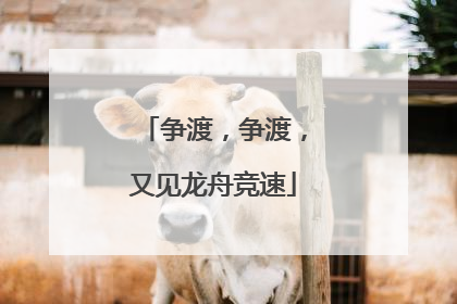 争渡，争渡，又见龙舟竞速