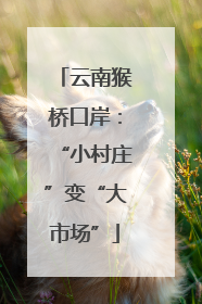 云南猴桥口岸：“小村庄”变“大市场”