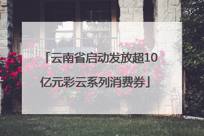 云南省启动发放超10亿元彩云系列消费券