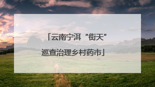 云南宁洱“街天”巡查治理乡村药市