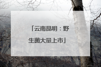 云南昆明：野生菌大量上市