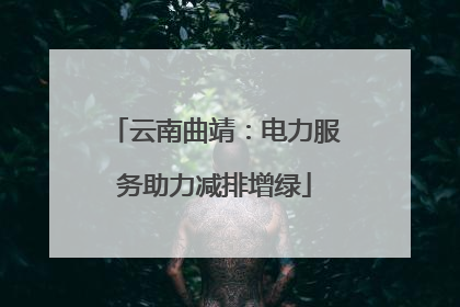 云南曲靖：电力服务助力减排增绿