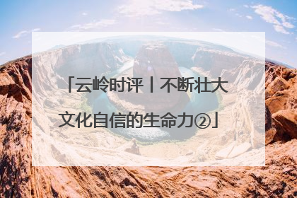 云岭时评丨不断壮大文化自信的生命力②