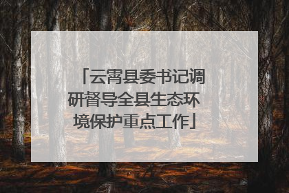 云霄县委书记调研督导全县生态环境保护重点工作