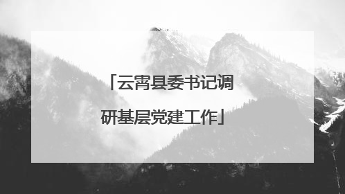 云霄县委书记调研基层党建工作