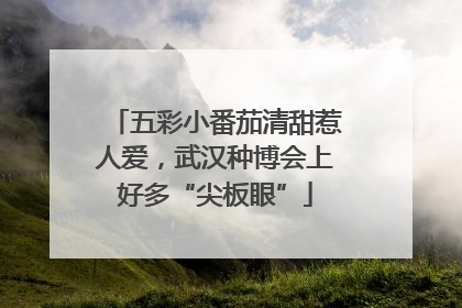 五彩小番茄清甜惹人爱，武汉种博会上好多“尖板眼”