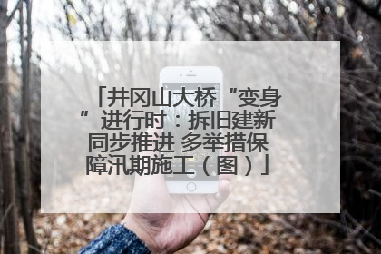 井冈山大桥“变身”进行时：拆旧建新同步推进 多举措保障汛期施工（图）