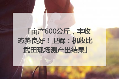 亩产600公斤，丰收态势良好！卫辉：机收比武田现场测产出结果