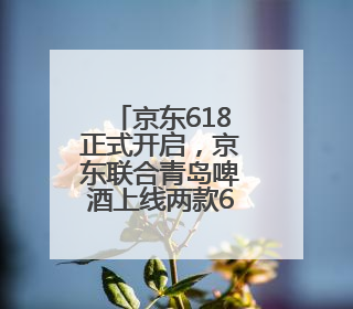 京东618正式开启，京东联合青岛啤酒上线两款618ml定制款啤酒
