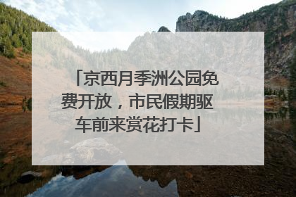 京西月季洲公园免费开放，市民假期驱车前来赏花打卡