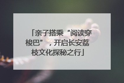 亲子搭乘“阅读穿梭巴”，开启长安荔枝文化探秘之行