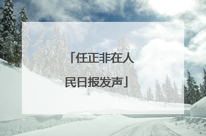 任正非在人民日报发声