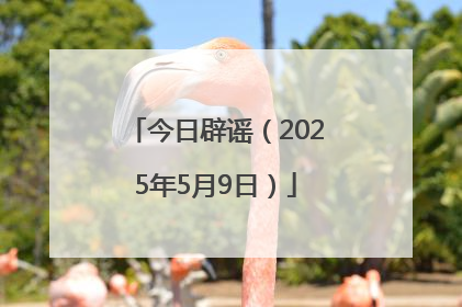 今日辟谣（2025年5月9日）