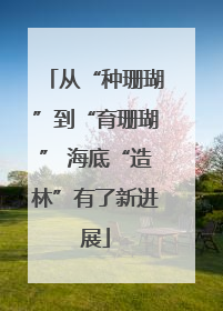 从“种珊瑚”到“育珊瑚” 海底“造林”有了新进展