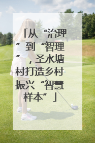从“治理”到“智理”，圣水塘村打造乡村振兴“智慧样本”