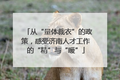 从“量体裁衣”的政策，感受济南人才工作的“精”与“暖”