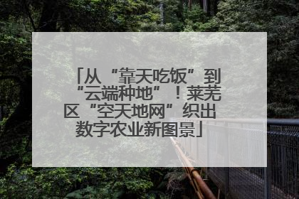 从“靠天吃饭”到“云端种地”！莱芜区“空天地网”织出数字农业新图景