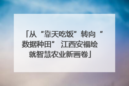 从“靠天吃饭”转向“数据种田” 江西安福绘就智慧农业新画卷