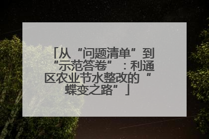 从“问题清单”到“示范答卷”：利通区农业节水整改的“蝶变之路”