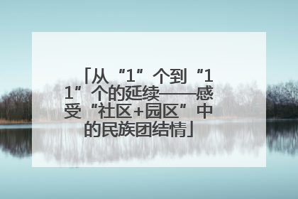 从“1”个到“11”个的延续——感受“社区+园区”中的民族团结情